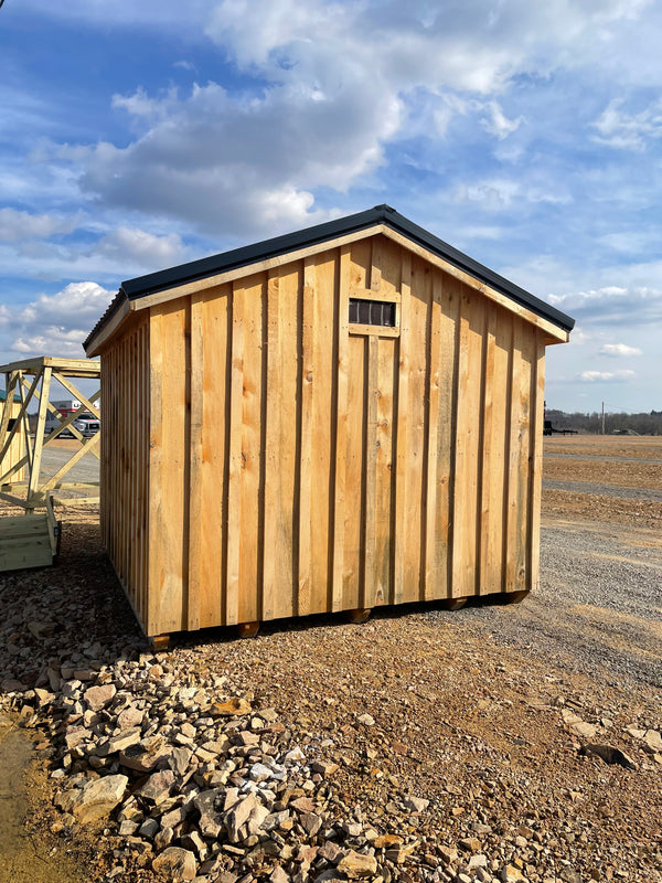 10X12 Shed w/ Black metal roof