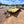 Load image into Gallery viewer, 2026 Car Mate 8x20 Car Hauler 7K GVWR W/ REMOVABLE FENDERS
