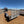 Load image into Gallery viewer, 2026 SPORT HAVEN 7X16 AUT X TANDEM OFF ROAD MODEL
