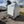 Load image into Gallery viewer, 2026 Car Mate 6x10 Sportster W/ Ramp Door &amp; 6" Additional Height
