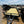 Load image into Gallery viewer, 2026 HTC 7x14 Tandem Utility Trailer
